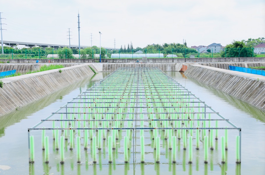 |闯荡长荡湖二十余年！这个福建人想打造江苏第二个大闸蟹品牌